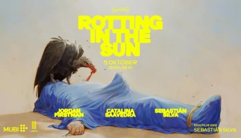 Rotting in the Sun online