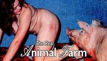 Real Animal Porn - The Dark Side of Porn \