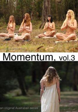Momentum Vol. 3 (2018)-poster
