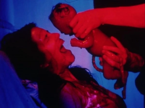 Subconscious Cruelty (2000) - Horror With Brother Sister Incest Scenes - img #1