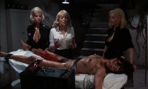 Ilsa: She Wolf of the SS (1975) - img #5