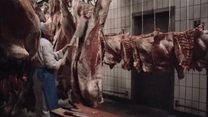 Vlees / Meat  (2010) - img #5
