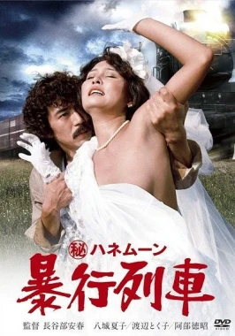 Secret Honeymoon: Rape Train (1977)-poster