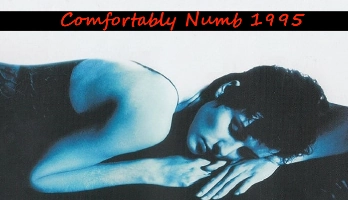 Comfortably Numb (1995)