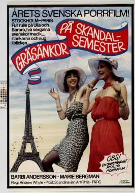 Crazy Swedish Holidays in Paris (1980)-poster