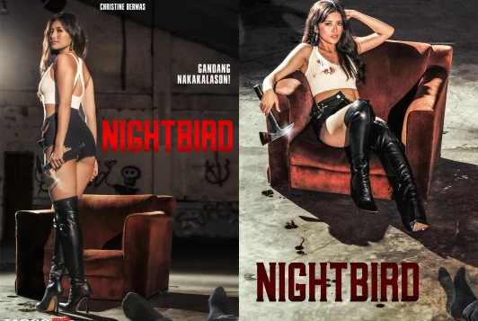 Nightbird (2023) - full cover