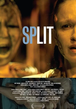 Split (2016)-poster