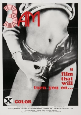 3 A.M. (1973) - Adult Incest Drama-poster