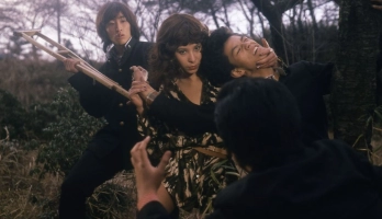 Teacher Deer (1978) online