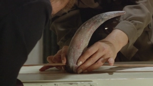 Tropical Inferno (1978) - img #4