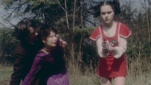 Schoolgirl Hitchhikers (1973) - img #6