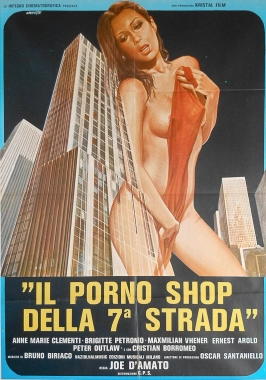 Pleasure Shop on the Avenue (1979)-poster