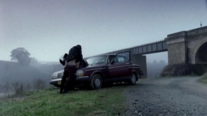 Leeanna Walsman - Dance Me to the End of Love (2011) - img #4