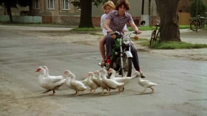 Sieben Sommersprossen (1978) - img #3