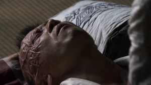 Shinobu Terajima - Caterpillar (Kyatapirâ) (2010) - img #3