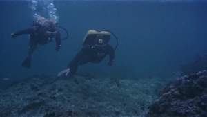 Waves of Lust (1975) - img #5