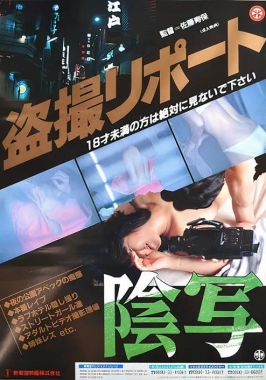 Turtle Vision (1991)-poster