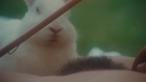 Marina Pierro, Gaelle Legrand, Pascale Christophe – Les heroines du mal (1979) - img #3