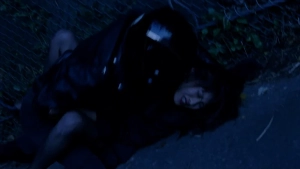 Rafureshia (1995) - img #5