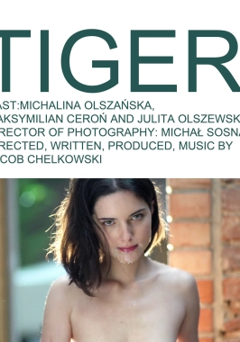 Tiger (Short 2014)-poster